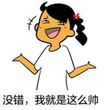 《我就是这么帅》LRC歌词 《我就是这么帅》(凉冰)歌词555uuu下载