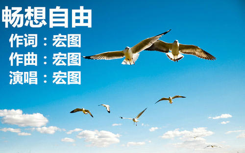 《畅想自由》LRC歌词 《畅想自由》(宏图)歌词555uuu下载