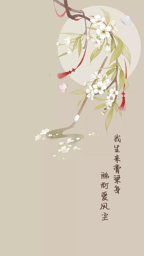 《无关情歌》LRC歌词 《无关情歌》(杨晓)歌词555uuu下载