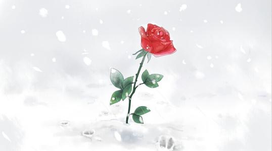 《玫瑰与小鹿》LRC歌词 《玫瑰与小鹿》(周深)歌词555uuu下载