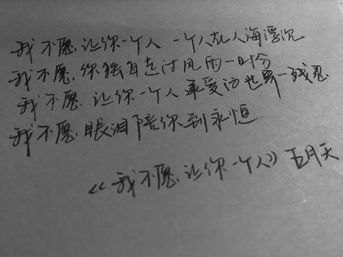《不能让你一个人》LRC歌词 《不能让你一个人》(王宏健&林依)歌词555uuu下载