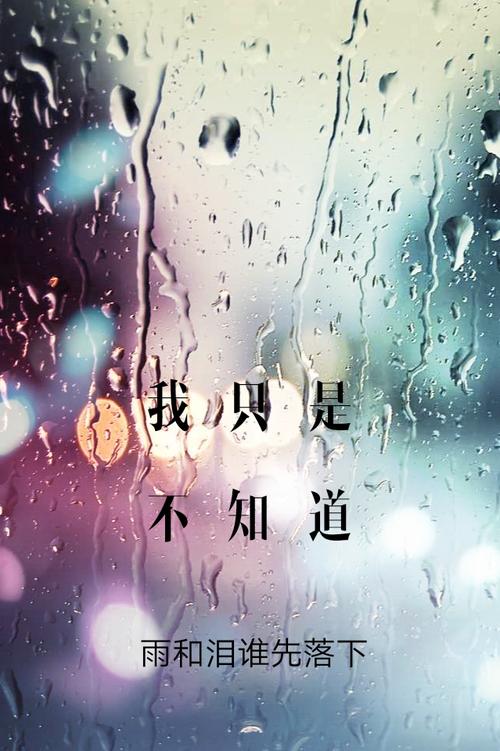 《雨和泪》(刘依纯)歌词555uuu下载