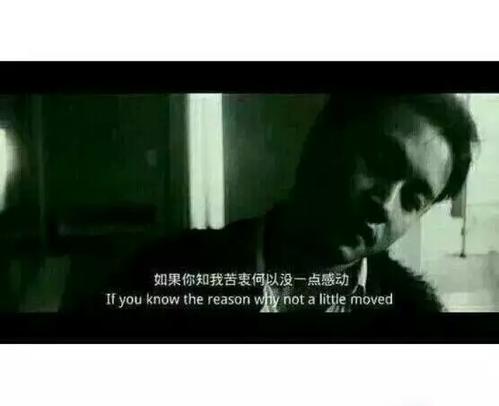 《如果你知我苦衷》LRC歌词 《如果你知我苦衷》(邰正宵)歌词555uuu下载