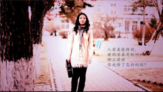 《转身遇见爱》LRC歌词 《转身遇见爱》(赵真)歌词555uuu下载