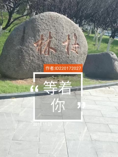 《下定决心等着你》LRC歌词 《下定决心等着你》(大哲)歌词555uuu下载