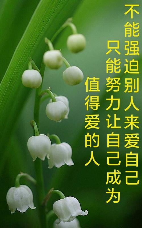 《值得爱的人》LRC歌词 《值得爱的人》(刘瑞琦)歌词555uuu下载