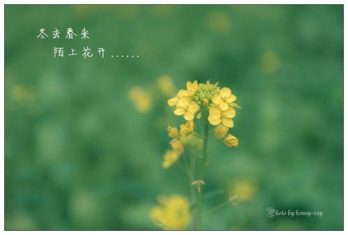 《冬去春来》LRC歌词 《冬去春来》(吴晓涵)歌词555uuu下载