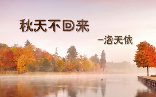 《秋天不回来》LRC歌词 《秋天不回来》(DJ小可)歌词555uuu下载