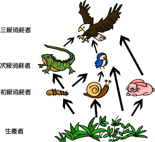 《食物链》LRC歌词 《食物链》(林欣彤)歌词555uuu下载