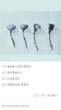 《忘了去记得》LRC歌词 《忘了去记得》(戚薇)歌词555uuu下载