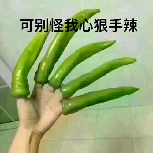 《别怪我狠心》LRC歌词 《别怪我狠心》(张津涤)歌词555uuu下载