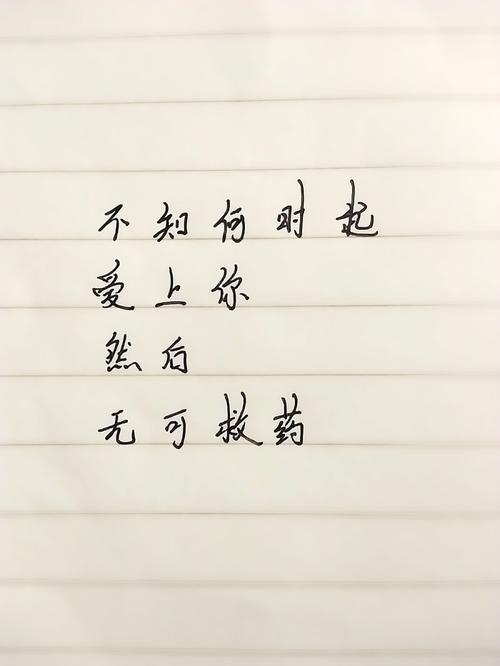 《真的好爱你》LRC歌词 《真的好爱你》(罗愉)歌词555uuu下载
