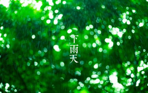 《你的眼睛会下雨》(王雪霏)歌词555uuu下载