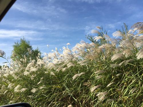 《微风里》LRC歌词 《微风里》(刘天慧)歌词555uuu下载