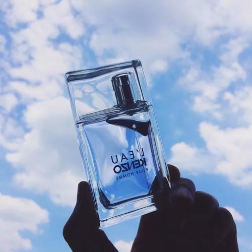 《风之恋》LRC歌词 《风之恋》(关诗敏)歌词555uuu下载