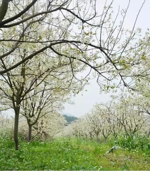 《突然想起你》LRC歌词 《突然想起你》(王淑宏)歌词555uuu下载