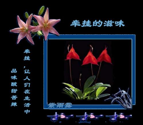 《爱的别名是牵挂》LRC歌词 《爱的别名是牵挂》(天籁天,林雨)歌词555uuu下载