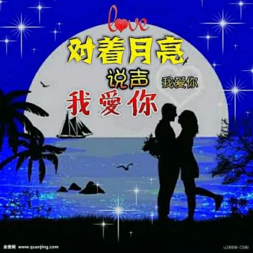 《对着月亮说声我爱你》LRC歌词 《对着月亮说声我爱你》(一只舟)歌词555uuu下载