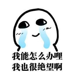 《还能怎样》LRC歌词 《还能怎样》(金天琪)歌词555uuu下载