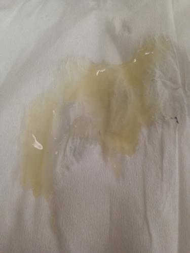 《透明的存在》LRC歌词 《透明的存在》(许靖韵)歌词555uuu下载