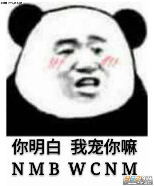 《不用你知道》LRC歌词 《不用你知道》(李琦)歌词555uuu下载