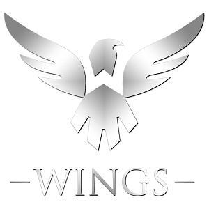 《Wings》LRC歌词 《Wings》(范忆堂)歌词555uuu下载