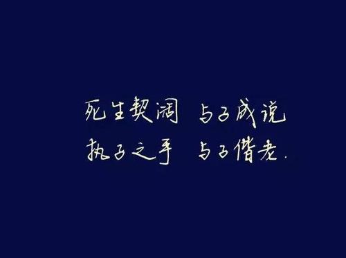 《忘不了的是你》LRC歌词 《忘不了的是你》(马云龙)歌词555uuu下载