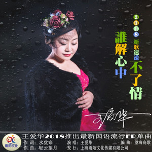《谁解心中不了情》LRC歌词 《谁解心中不了情》(王爱华)歌词555uuu下载