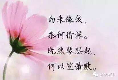 《下辈子 谁也不会认识谁》LRC歌词 《下辈子 谁也不会认识谁》(王馨)歌词555uuu下载