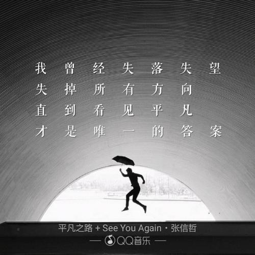 《平凡之路+See You Again(Live)》(张信哲)歌词555uuu下载