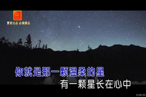 《天上的星星是爱情的灯》(陈瑞)歌词555uuu下载