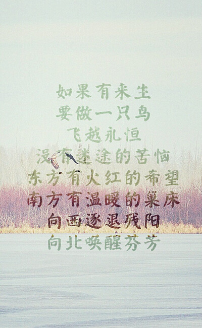 《陪你在心里》LRC歌词 《陪你在心里》(晓依&起点)歌词555uuu下载