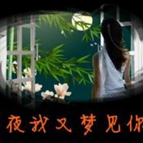 《我又梦见你》LRC歌词 《我又梦见你》(晨熙)歌词555uuu下载