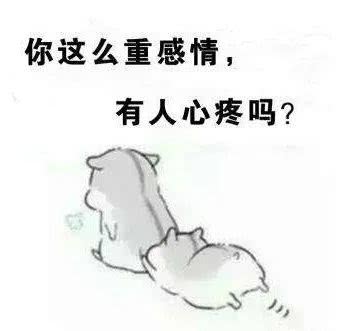 《不要对男人太好》LRC歌词 《不要对男人太好》(宋旭)歌词555uuu下载