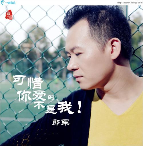 《可惜你爱的不是我》LRC歌词 《可惜你爱的不是我》(郎军)歌词555uuu下载