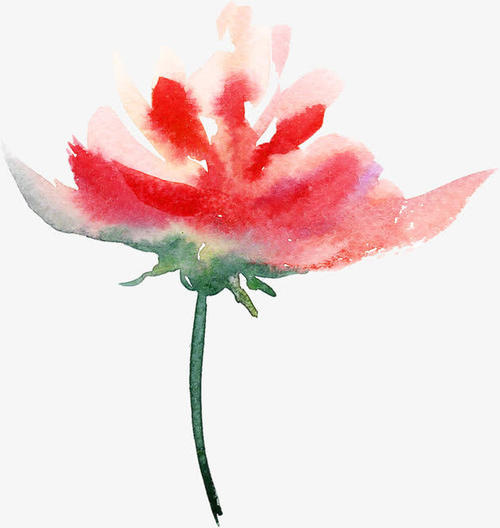 《痴情一枝花》LRC歌词 《痴情一枝花》(孙艺琪)歌词555uuu下载