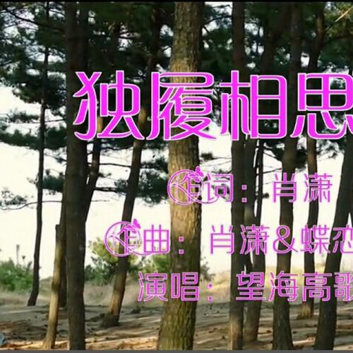 《独履相思畔》LRC歌词 《独履相思畔》(望海高歌)歌词555uuu下载