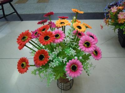 《塑料花》LRC歌词 《塑料花》(乌兰,托娅)歌词555uuu下载