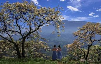 《花香正安》LRC歌词 《花香正安》(周艳泓)歌词555uuu下载
