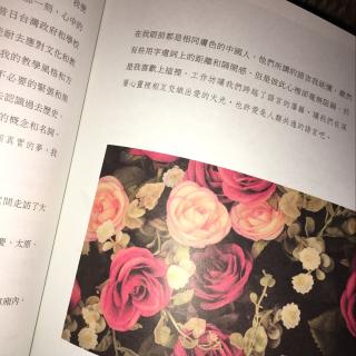 《不问爱的答案》LRC歌词 《不问爱的答案》(阮丹青)歌词555uuu下载