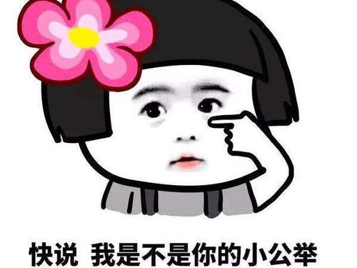《小公举》LRC歌词 《小公举》(陈佳)歌词555uuu下载