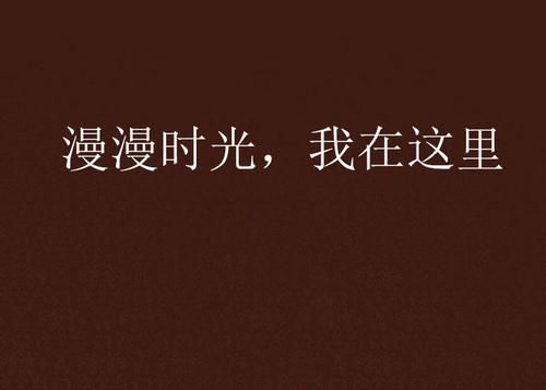 《時光漫漫》LRC歌词 《時光漫漫》(丁晓红)歌词555uuu下载