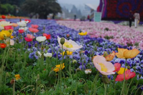 《花花世界》LRC歌词 《花花世界》(刘忻)歌词555uuu下载