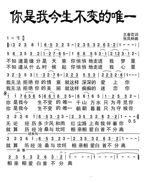 《你是我今生不变的唯一》(倪尔萍,王可)歌词555uuu下载