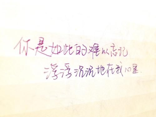 《你是如此难以忘记》LRC歌词 《你是如此难以忘记》(周治平,童安格)歌词555uuu下载