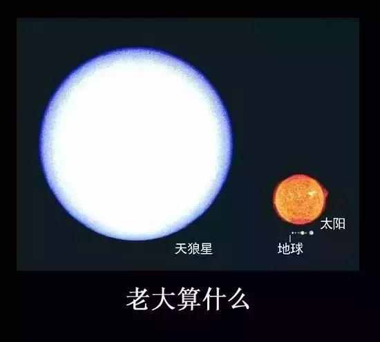 《天狼星》LRC歌词 《天狼星》(929)歌词555uuu下载