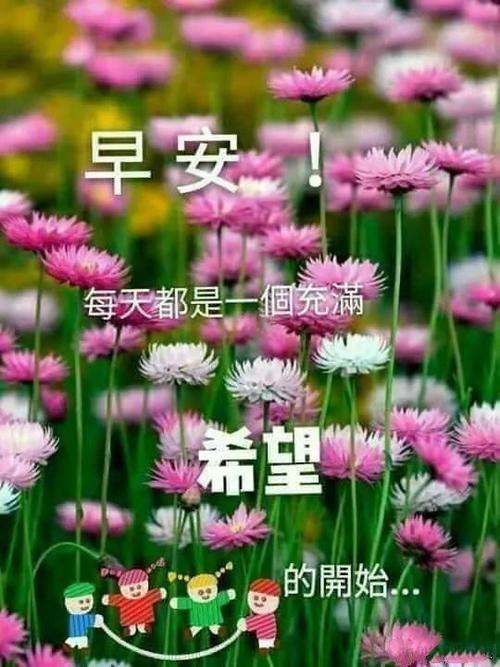 《最美的问候》LRC歌词 《最美的问候》(品冠)歌词555uuu下载