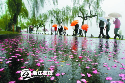 《桃花雨  情人泪》(杭娇)歌词555uuu下载