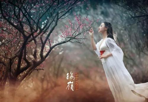 《红尘花开等你来》LRC歌词 《红尘花开等你来》(梅朵)歌词555uuu下载