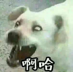 《啊哈》LRC歌词 《啊哈》(斯琴高丽)歌词555uuu下载